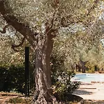 In Einem In Den Huegeln- Mit Garten Un By Interhome Lägenhet *