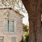 In Einem In Den Huegeln- Mit Garten Un By Interhome Lägenhet *