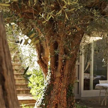 Appartamento In Einem In Den Huegeln- Mit Garten Und Pool By Interhome