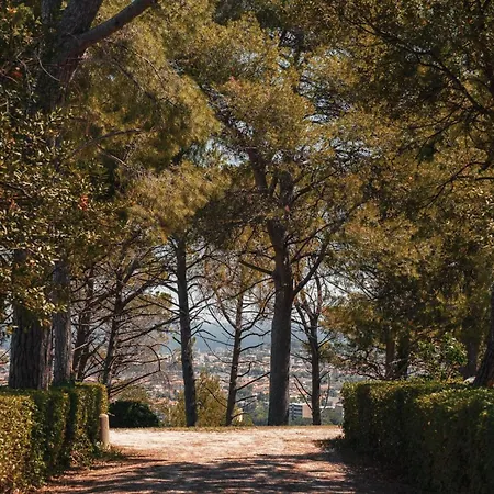 Appartamento In Einem In Den Huegeln- Mit Garten Und Pool By Interhome Pesaro