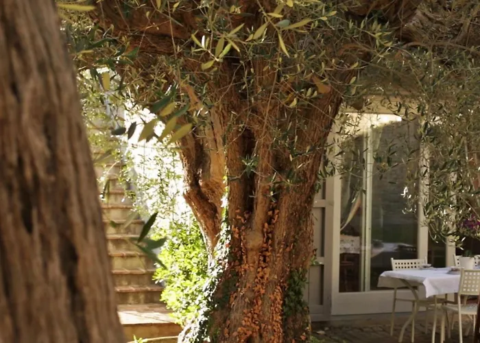 Apartment In Einem In Den Huegeln- Mit Garten Und Pool By Interhome