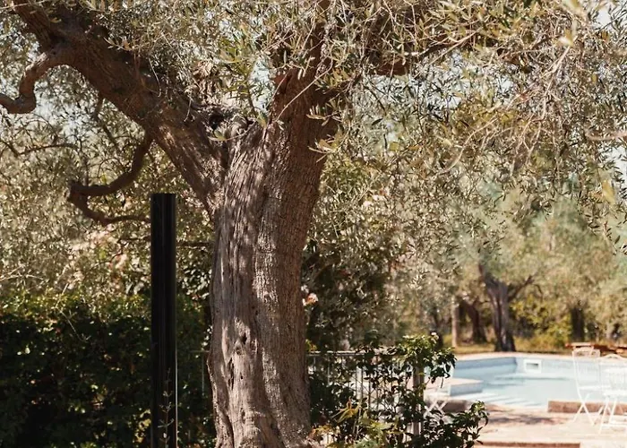 In Einem In Den Huegeln- Mit Garten Und Pool By Interhome Appartamento *